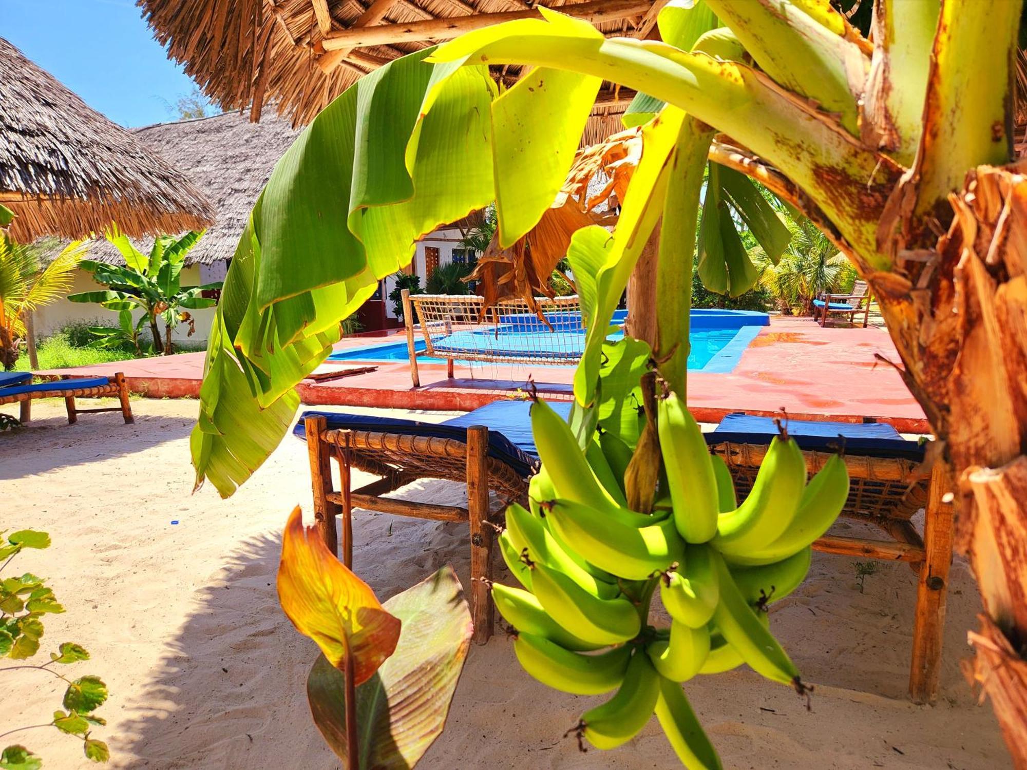Mkeka Spice Lodge Jambiani Jambiani  Bagian luar foto